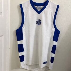 Jordan Blue and White Jersey